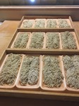 そば、24食.JPG