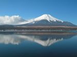 sakasahuji2web.jpg